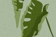 抖音成人版流量分发逻辑大揭秘-热门玩法揭秘