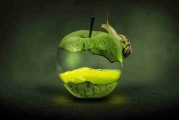 品牌推广实操经验 - 成人版抖音如何实现精准引流？，成人抖音就是这么让人上瘾