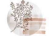 每日大赛高光时刻集锦-创意灵感指南